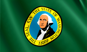 Washington State Flag Detail