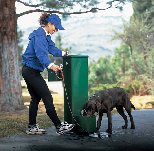 dog park drinking fountain