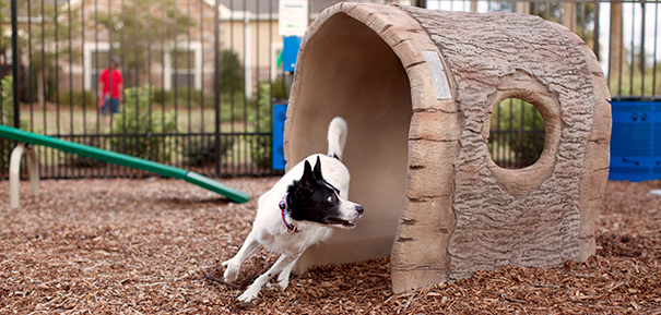 BarkPark® Nature Bark Log Tunnels