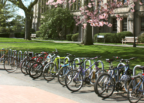 Bike Racks Scenery Image