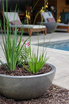 Classic Series Concrete Planters