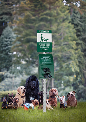 Model DP-1011-POLY | POLY DOGIPOT&reg; QUIK Pet Station