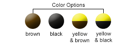 Color Options