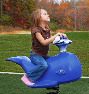 Model PGC-RW | Whale Rider Playground Component