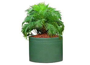 Model PL-3022 | Self Watering Plastic Planter (Green)