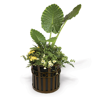 Model PL2220 | Decorative Slatted Planters (Brown)