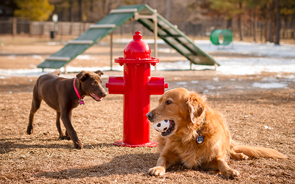 Model TBARK-465 | Replica Fire Hydrant | Dog Park Amenities