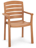 Model US119008 | Acadia Resin Chair with Wood Finish