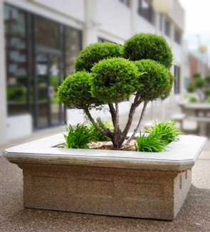 Model VP73X24 | Victorian Series Concrete Planters (Sand Tan | LSB Finish)