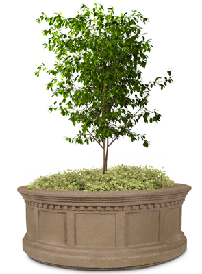 Model VPR66 | Victorian Series Concrete Planters (Light Brown | LSB Finish)